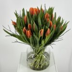 tulpenboeket